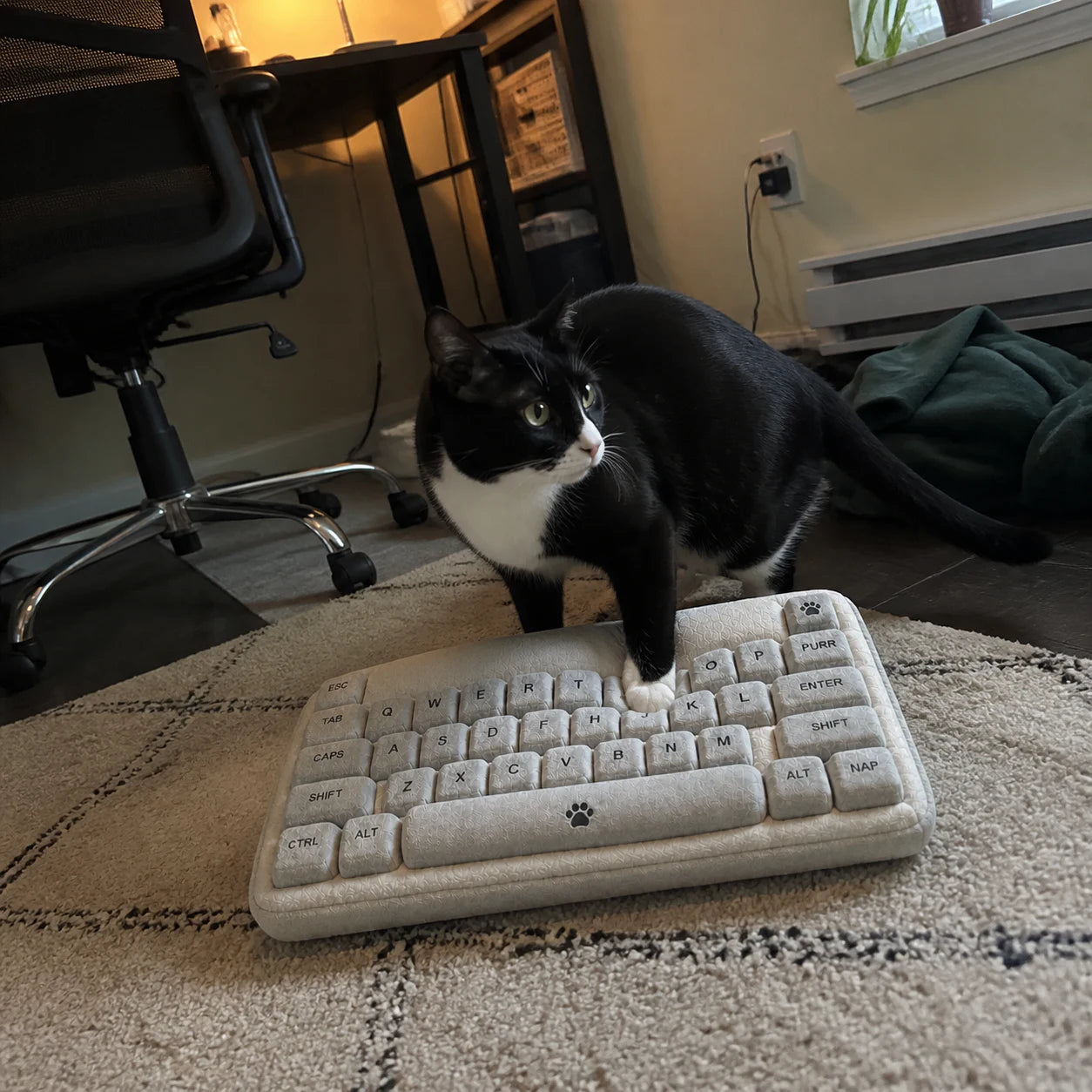 Tuxedo cat on a Stone MEOWCHANICAL keyboard-shaped cat bed